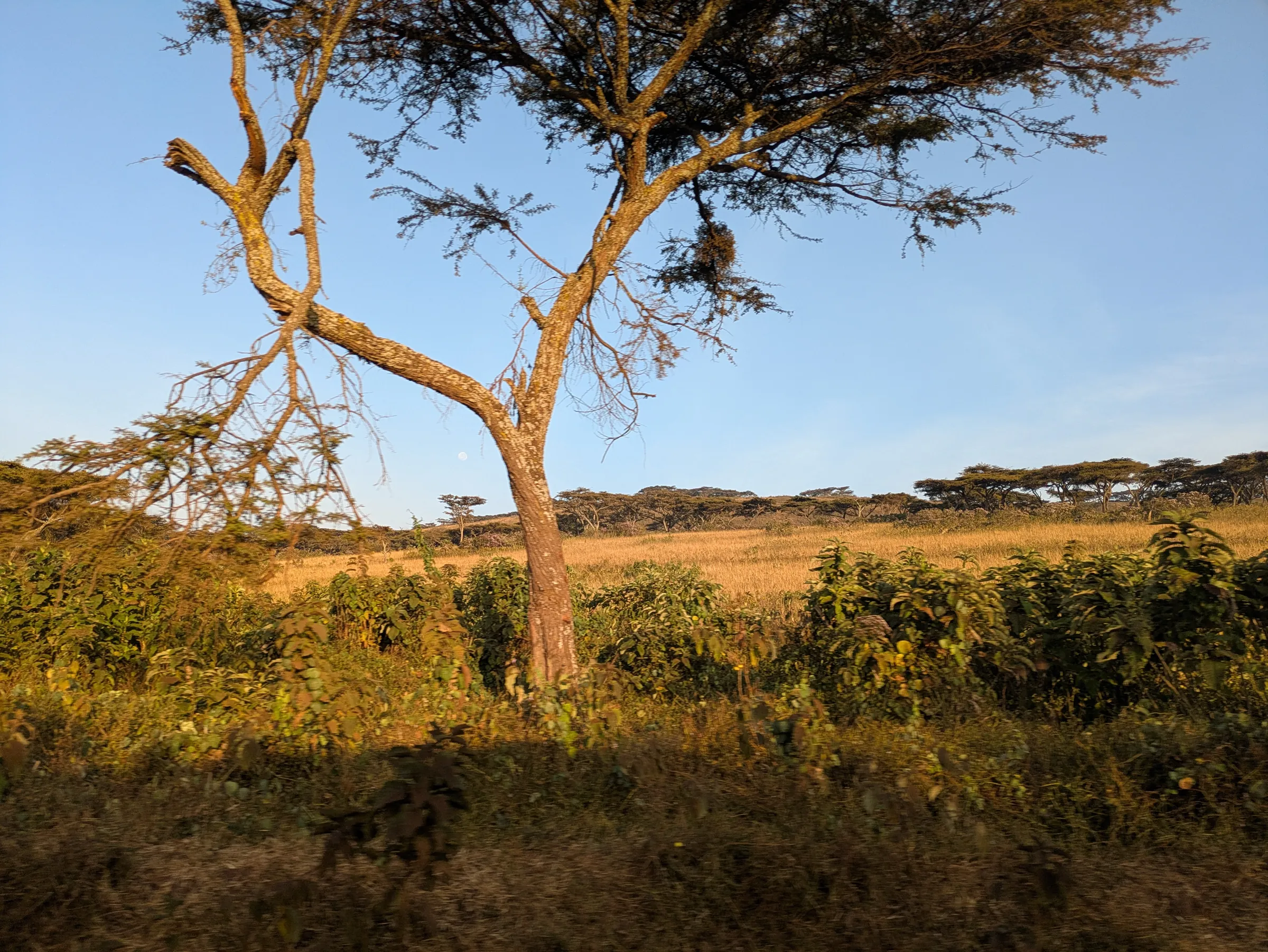Arusha National Park
