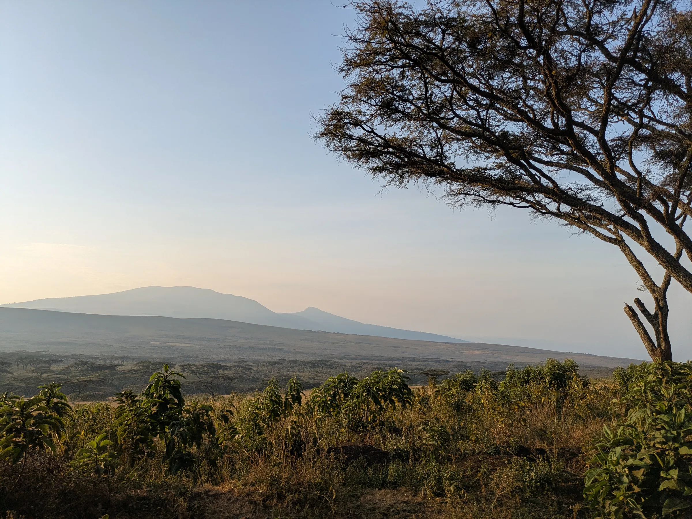 Kilimanjaro National Park