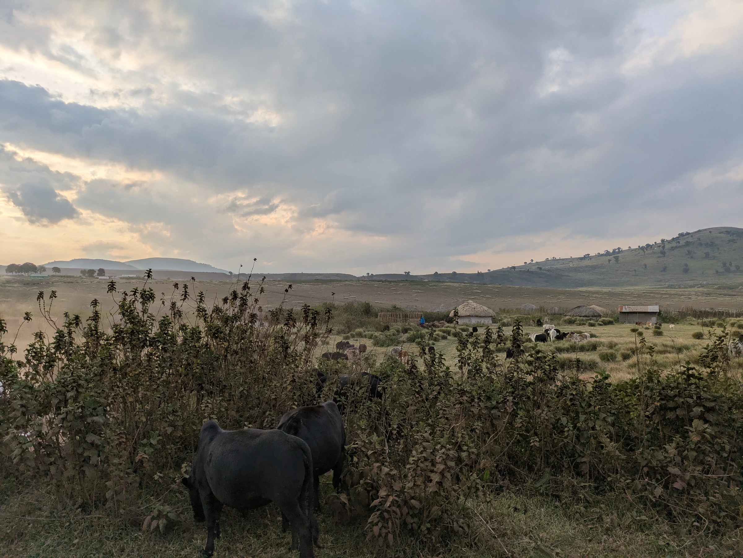 Ngorongoro Conservation Area