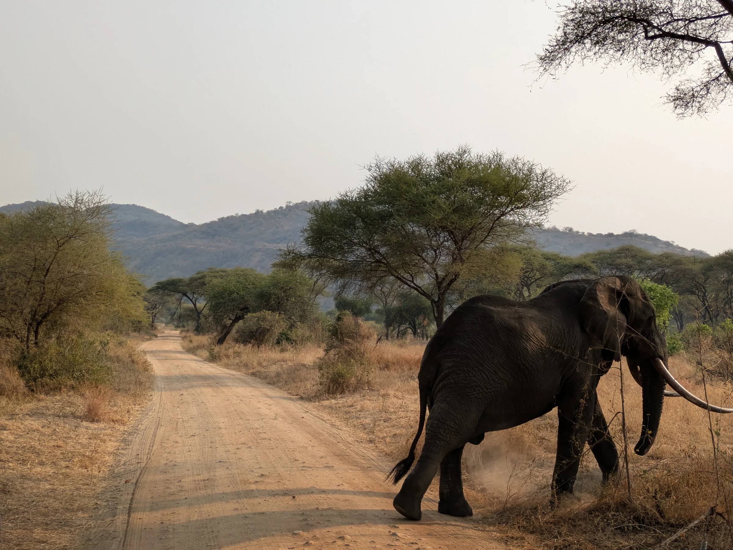 Tarangire National Park